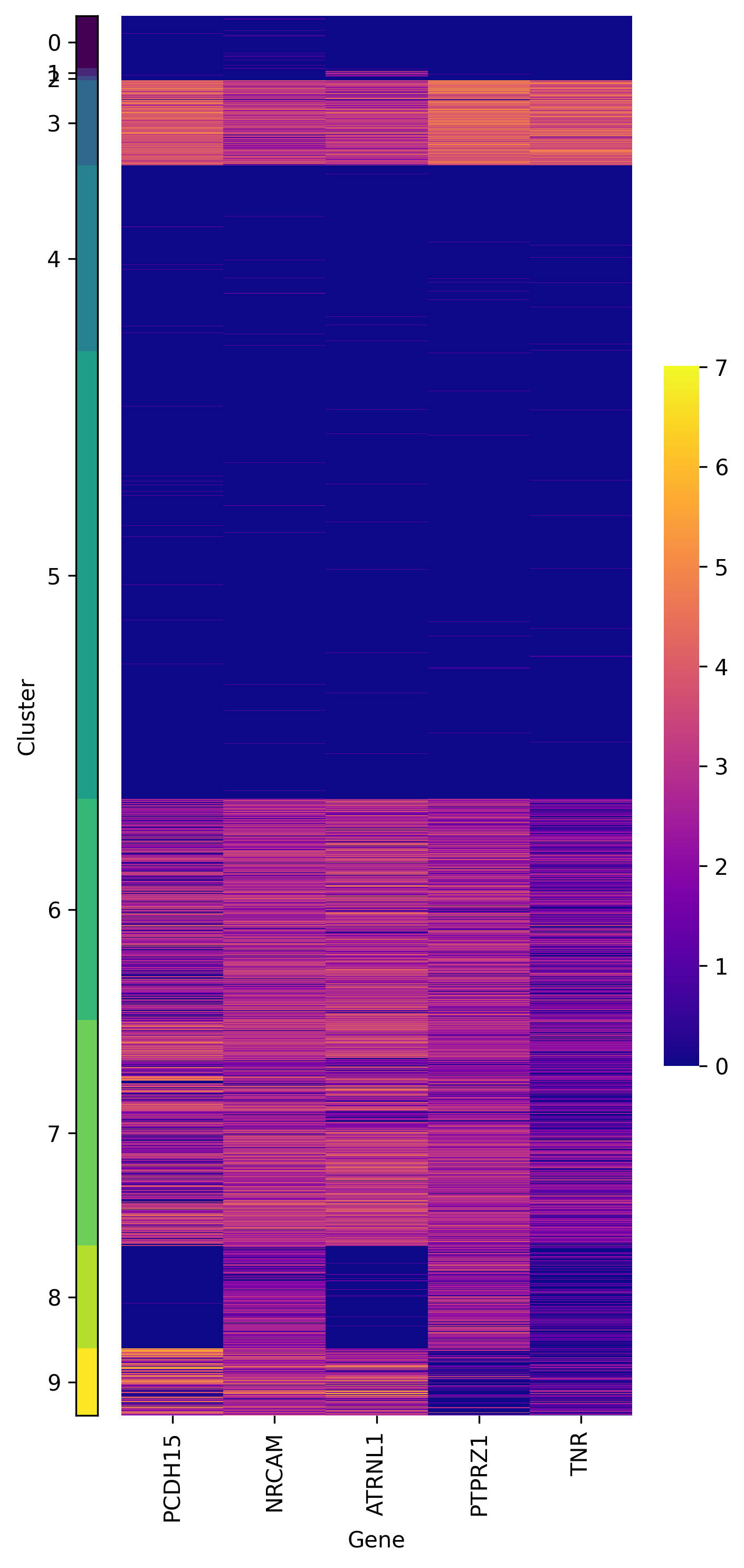 _images/plot_clustered_heatmap.png