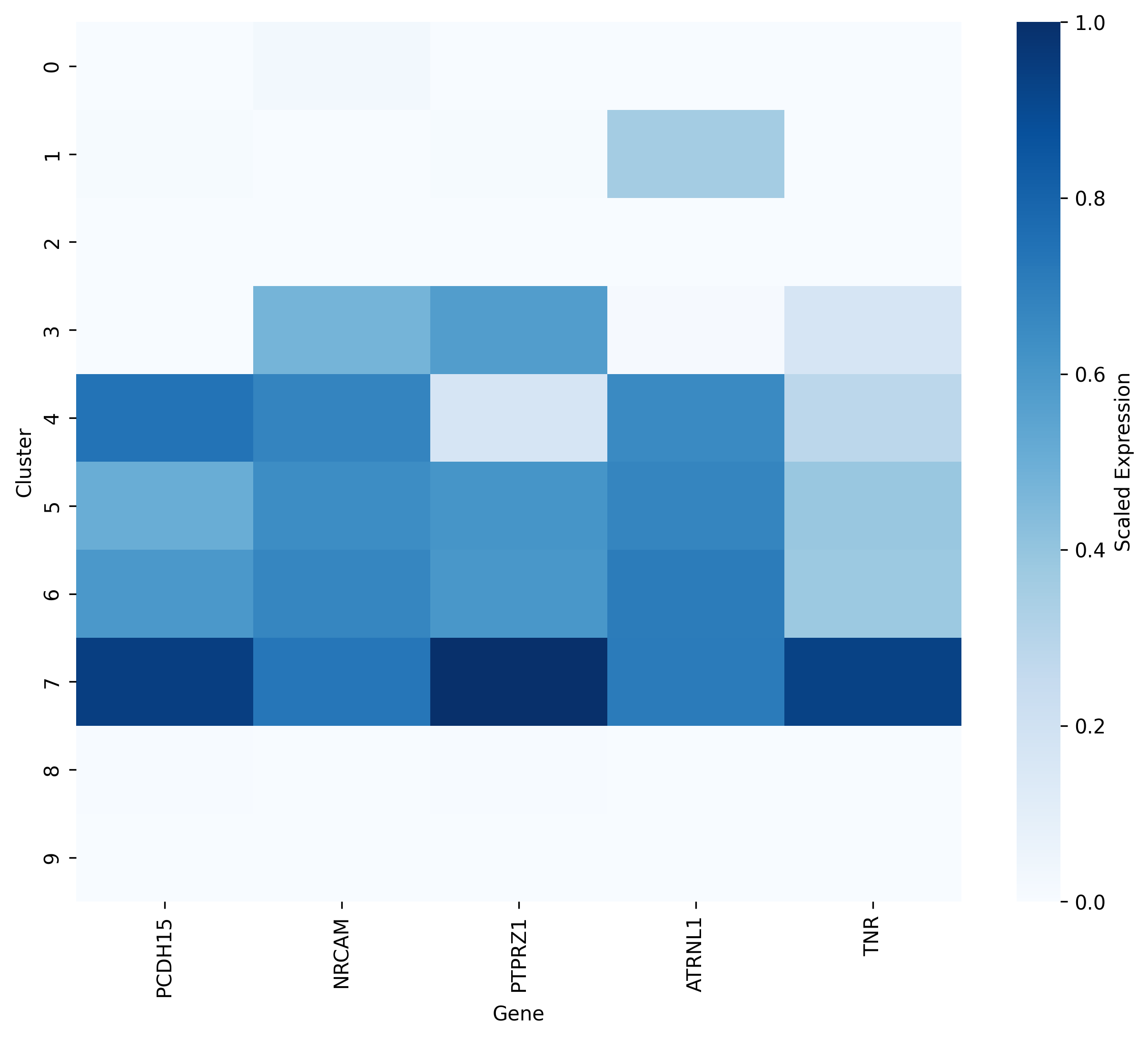_images/plot_mean_expression_heatmap.png