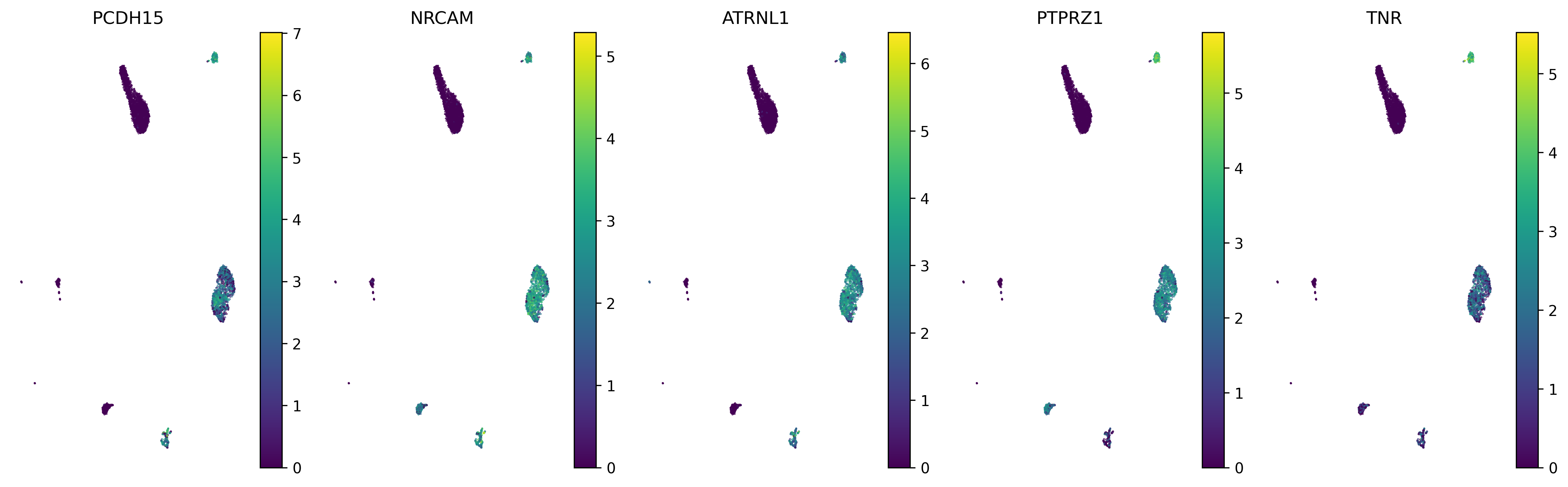_images/scatter_gene_expression.png